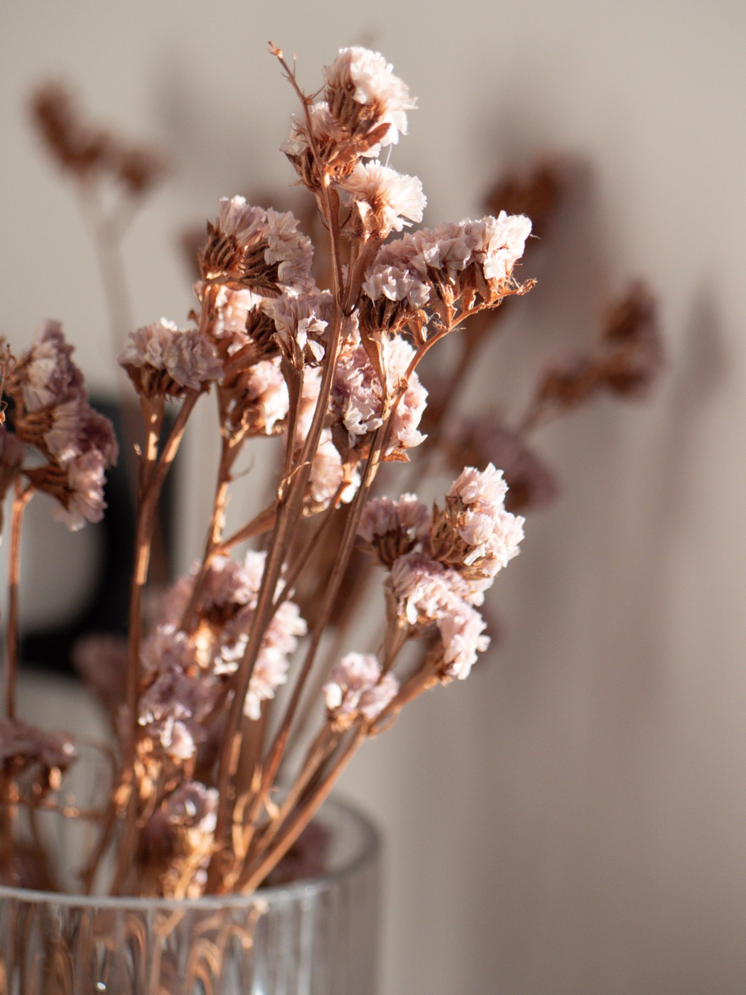 Bouquet de fleurs séchées